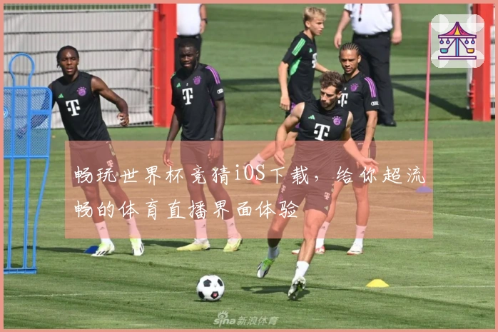 畅玩世界杯竞猜iOS下载，给你超流畅的体育直播界面体验