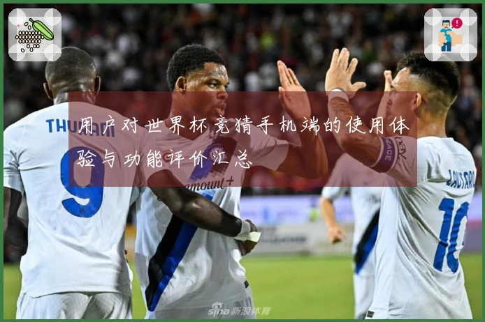 用户对世界杯竞猜手机端的使用体验与功能评价汇总