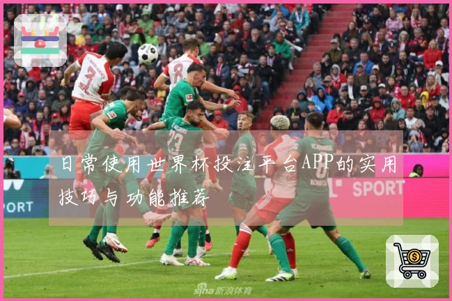 日常使用世界杯投注平台APP的实用技巧与功能推荐