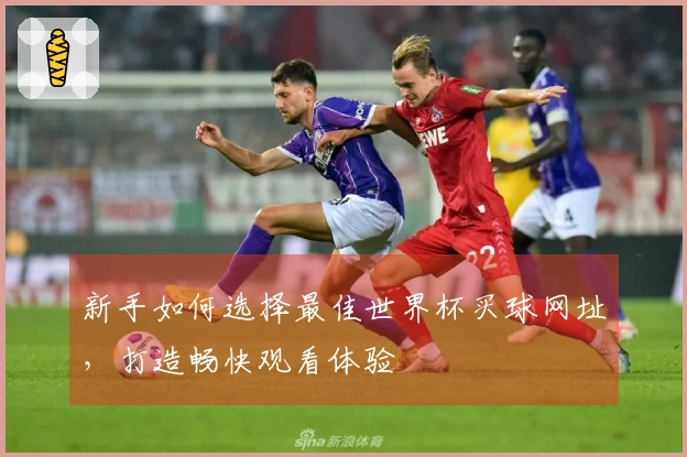 新手如何选择最佳世界杯买球网址，打造畅快观看体验