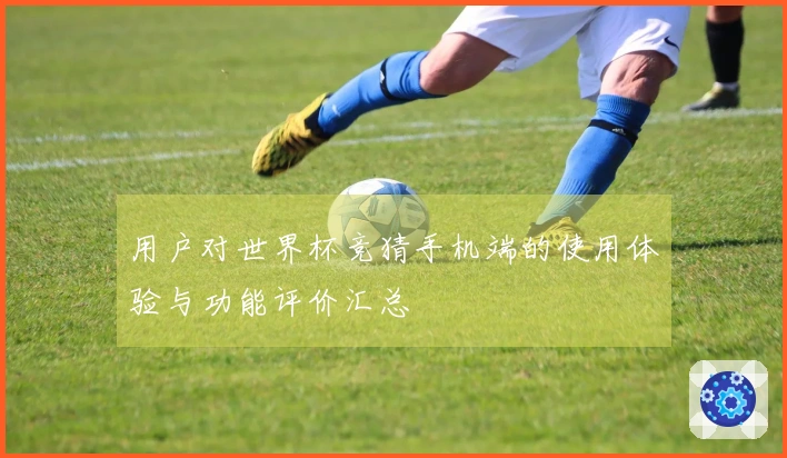 用户对世界杯竞猜手机端的使用体验与功能评价汇总