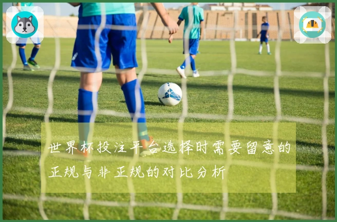 世界杯投注平台选择时需要留意的正规与非正规的对比分析