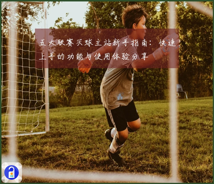 五大联赛买球主站新手指南：快速上手的功能与使用体验分享