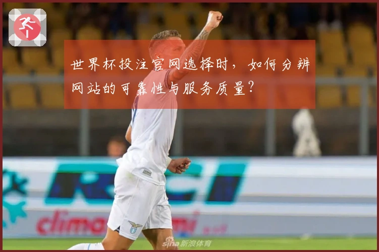 世界杯投注官网选择时,如何分辨网站的可靠性与服务质量?