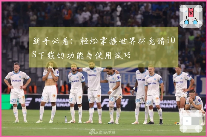 新手必看：轻松掌握世界杯竞猜iOS下载的功能与使用技巧