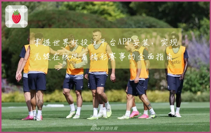 掌握世界杯投注平台APP安装，实现无缝在线观看精彩赛事的全面指南