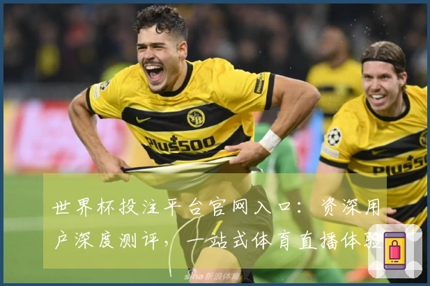 世界杯投注平台官网入口：资深用户深度测评，一站式体育直播体验全方位解析