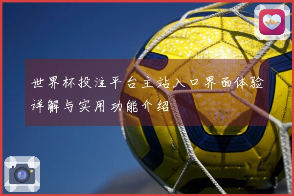 世界杯投注平台主站入口界面体验详解与实用功能介绍